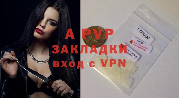твердый Осинники