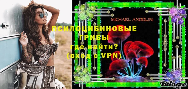 PSILOCYBIN Остров