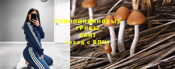 прущая мука Нязепетровск
