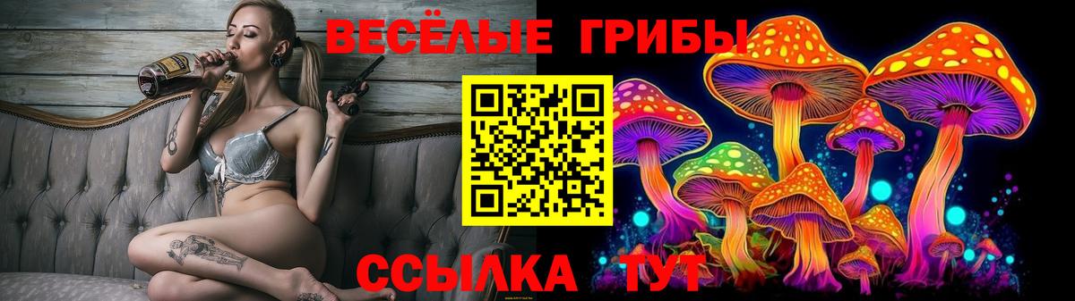 Галлюциногенные грибы мицелий  Псилоцибиновые грибы Cubensis  Серпухов  Вход с VPN 