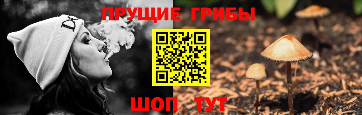 Галлюциногенные грибы мухоморы Серпухов